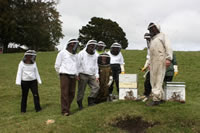 owhango-beekeepers-club
